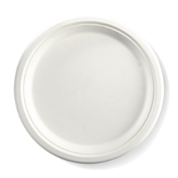 Disposable Plates from ABL Distribution